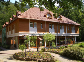 Kurpark Flair Hotel Im Ilsetal Ilsenburg